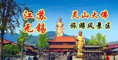 广州性感美少妇与儿肏穴视频江苏无锡灵山大佛旅游风景区